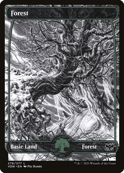 Forest - Innistrad: Crimson Vow #276